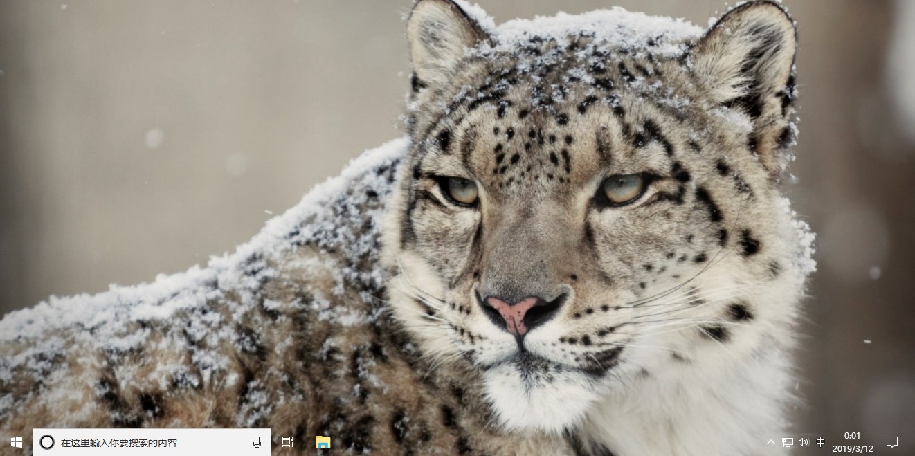 雪豹（Snow Leopard）Win10电脑主题