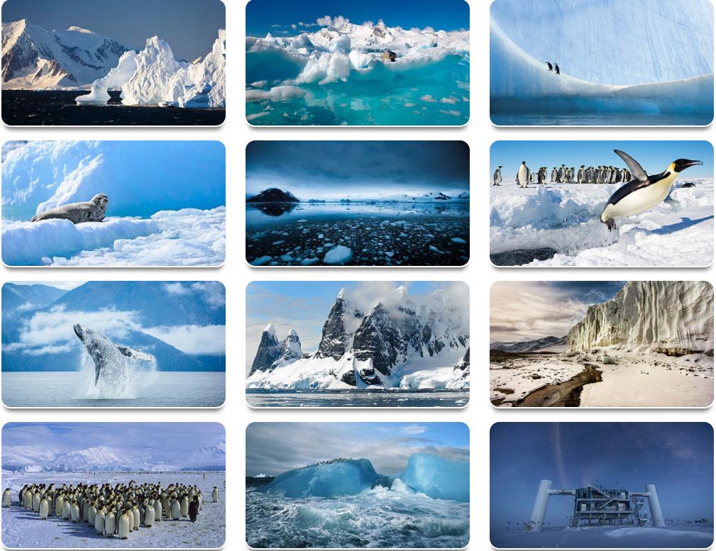 南极洲风情高清壁纸